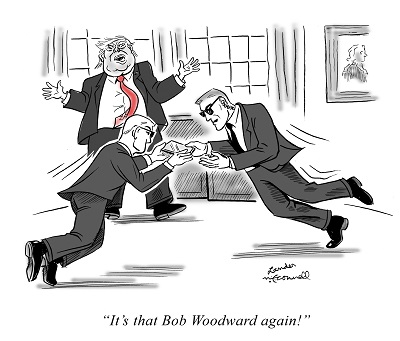 Trump worried about Woodward