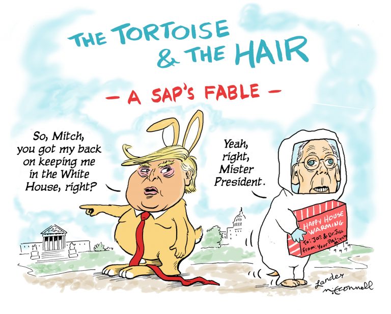 The Tortoise and the Hair – The Satirist