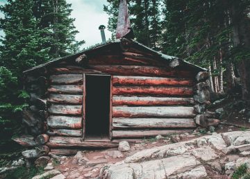 Shack in woods